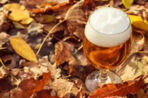 fall leaves with a glass of beer